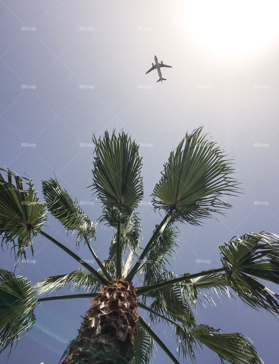 Flaying over the Beach 