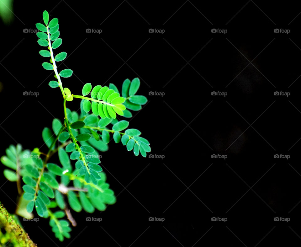 A new beginning of life