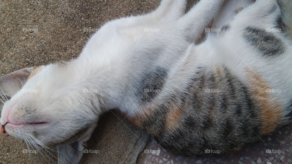 Vacay? Ready, Steady, go!