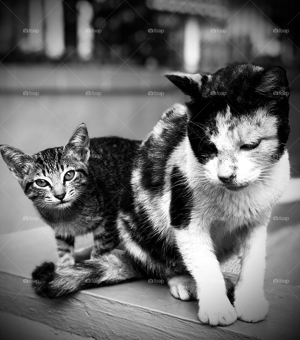 “Mom, don’t be shy.”