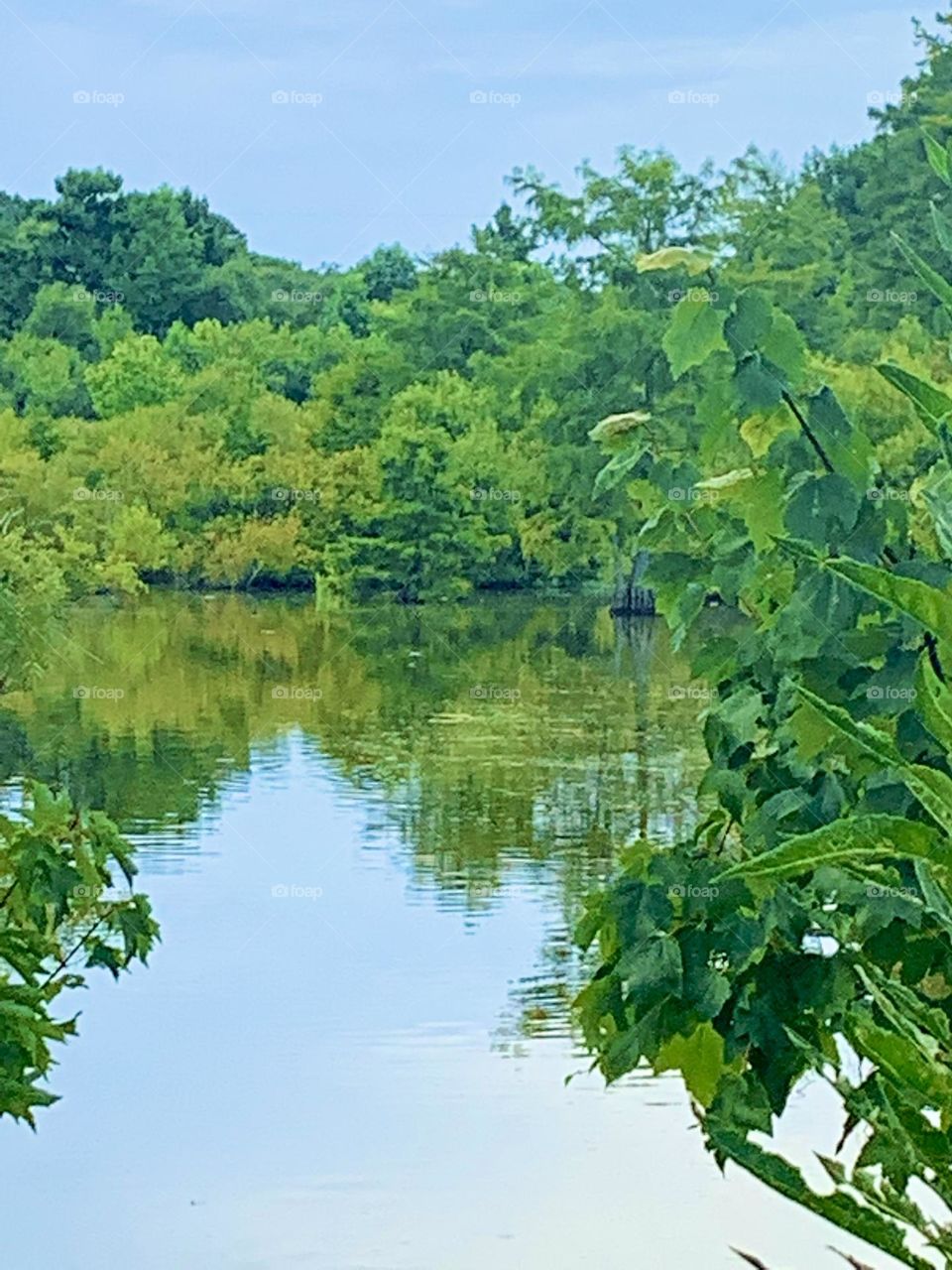 Stumpy Lake 