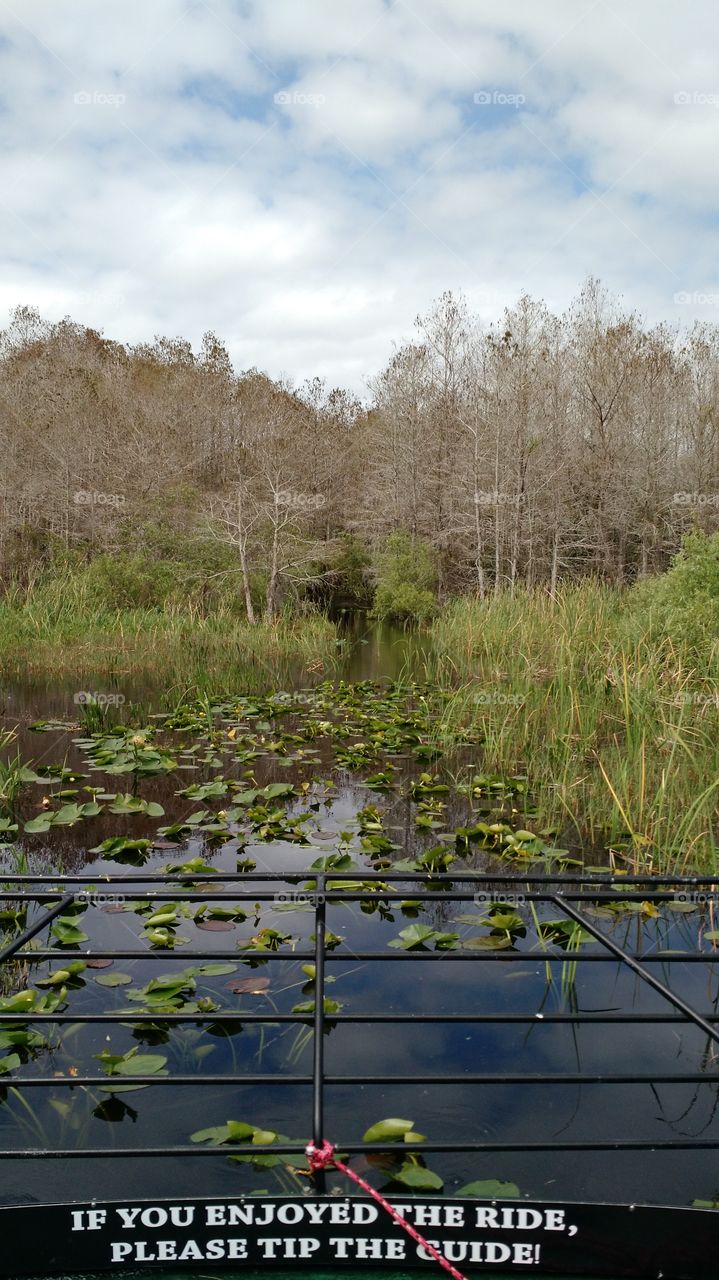 Airboat ride