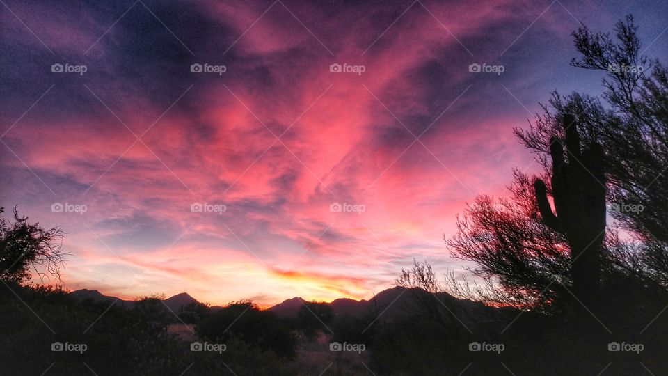 Mezmerizing beauty of a deep purple and red sunset in the desert.