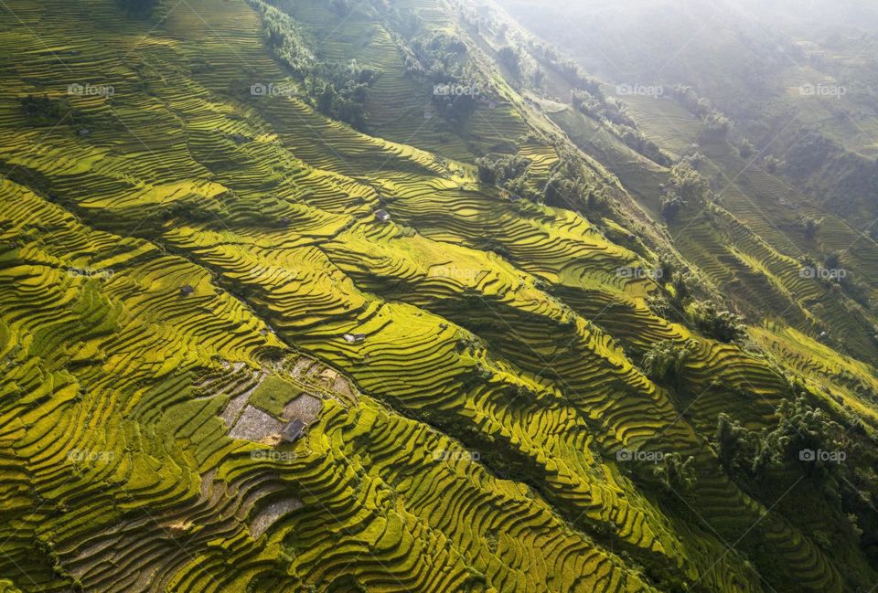 Sunshine in Ngai Thau rices terraces valley.
Ngai Thau is the beautiful cummune in Bat Xat district , Lao Cai province, Nothwest Vietnam