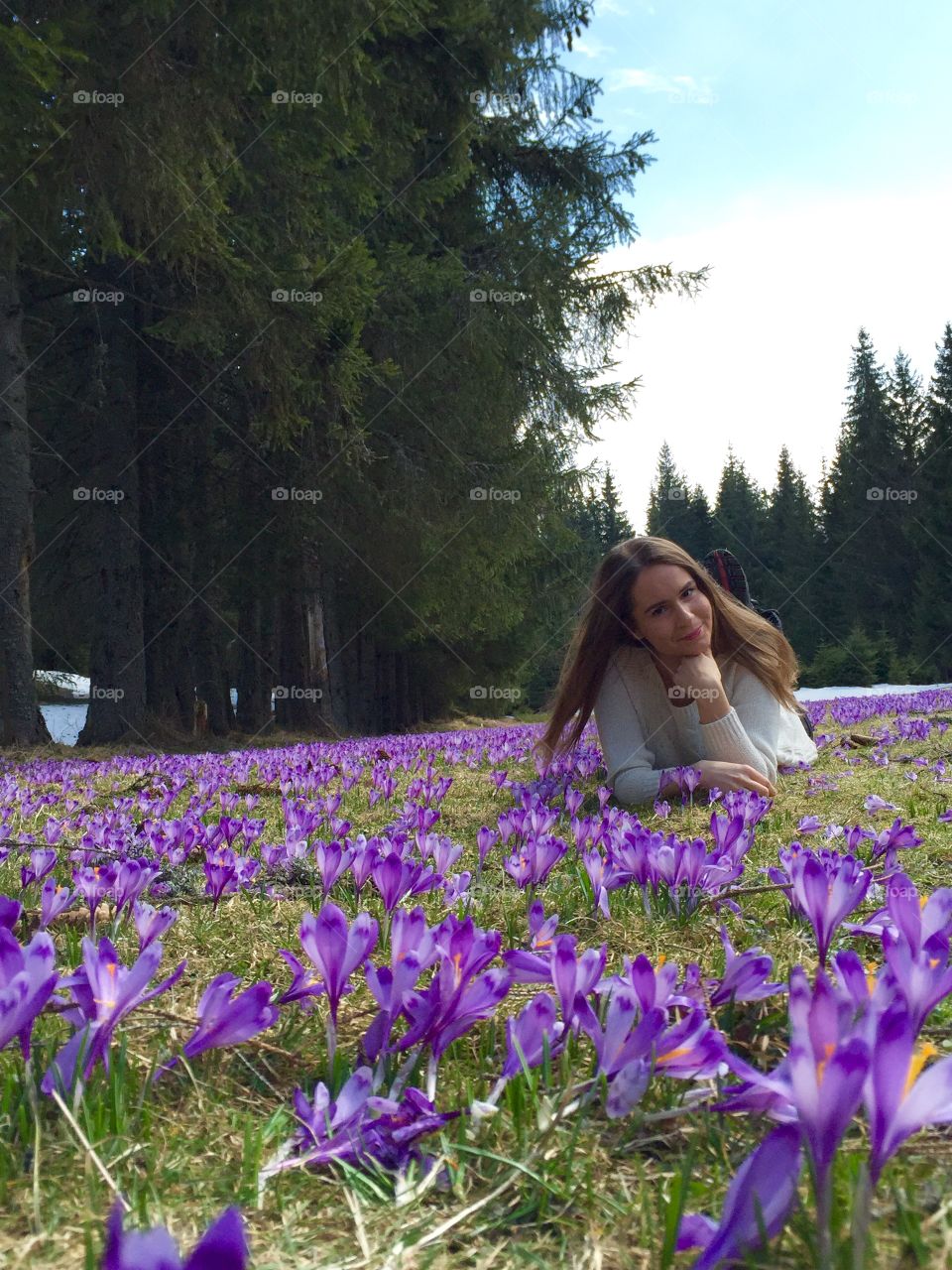 Crocuses in magical forest