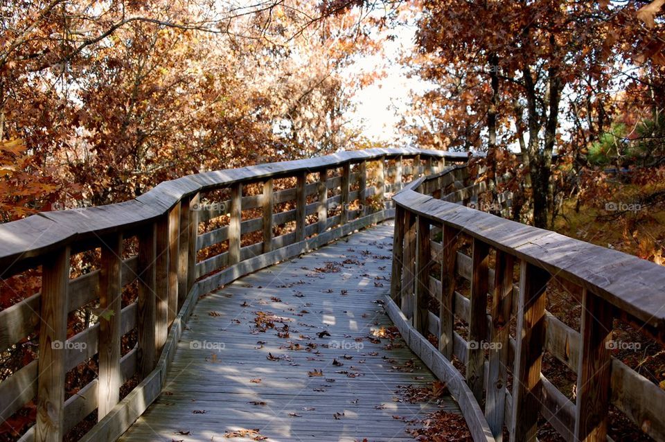 bridge walk group1 by refocusphoto