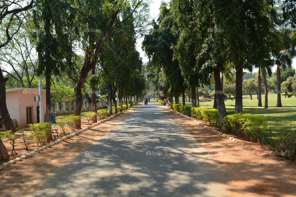 park view Hyderabad