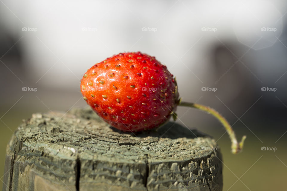 Strawberry