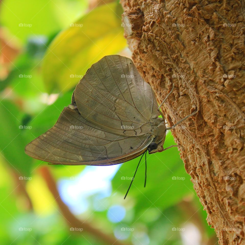 In the shade 