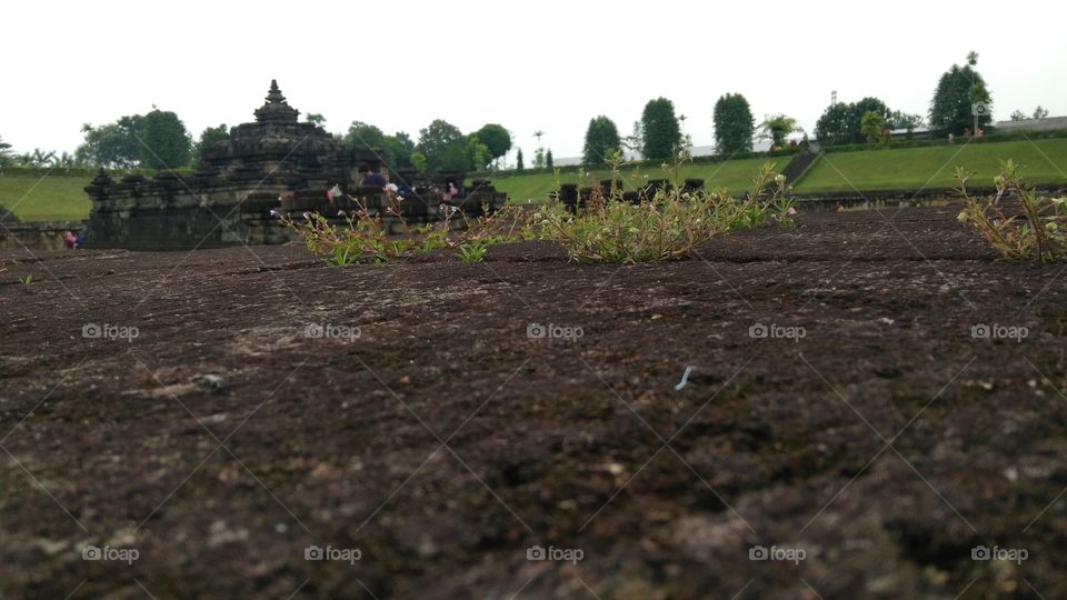 Sambisari temple