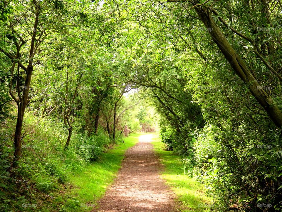 green arch