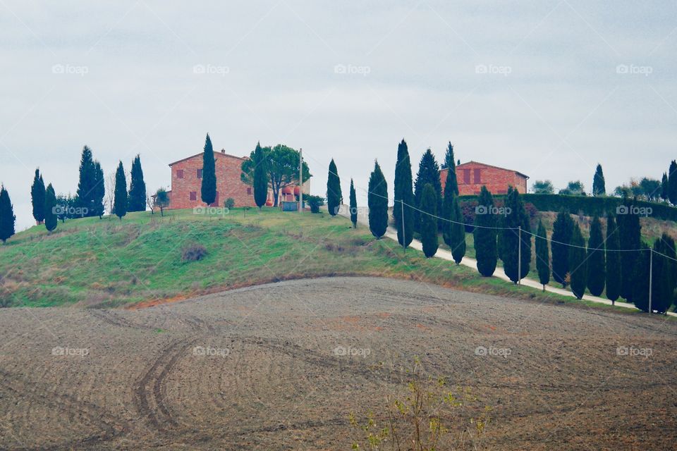 Tuscany classic landscapes 