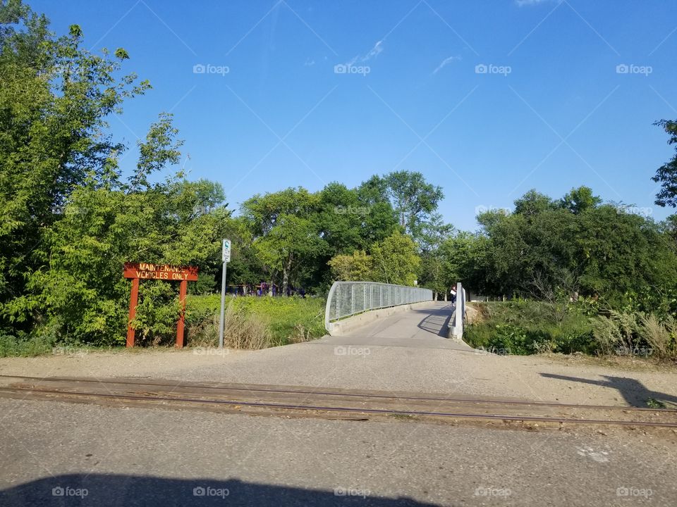 Road, Tree, No Person, Landscape, Transportation System
