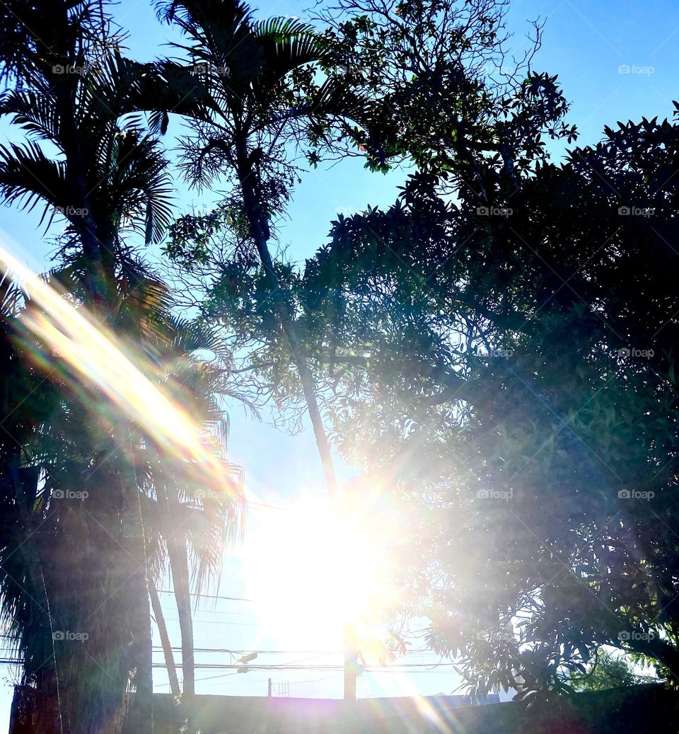 🌄🇺🇸 An extremely beautiful dawn in Jundiaí, interior of Brazil. Cheer the nature! / 🇧🇷 Um amanhecer extremamente bonito em Jundiaí, interior do Brasil. Viva a natureza! 
