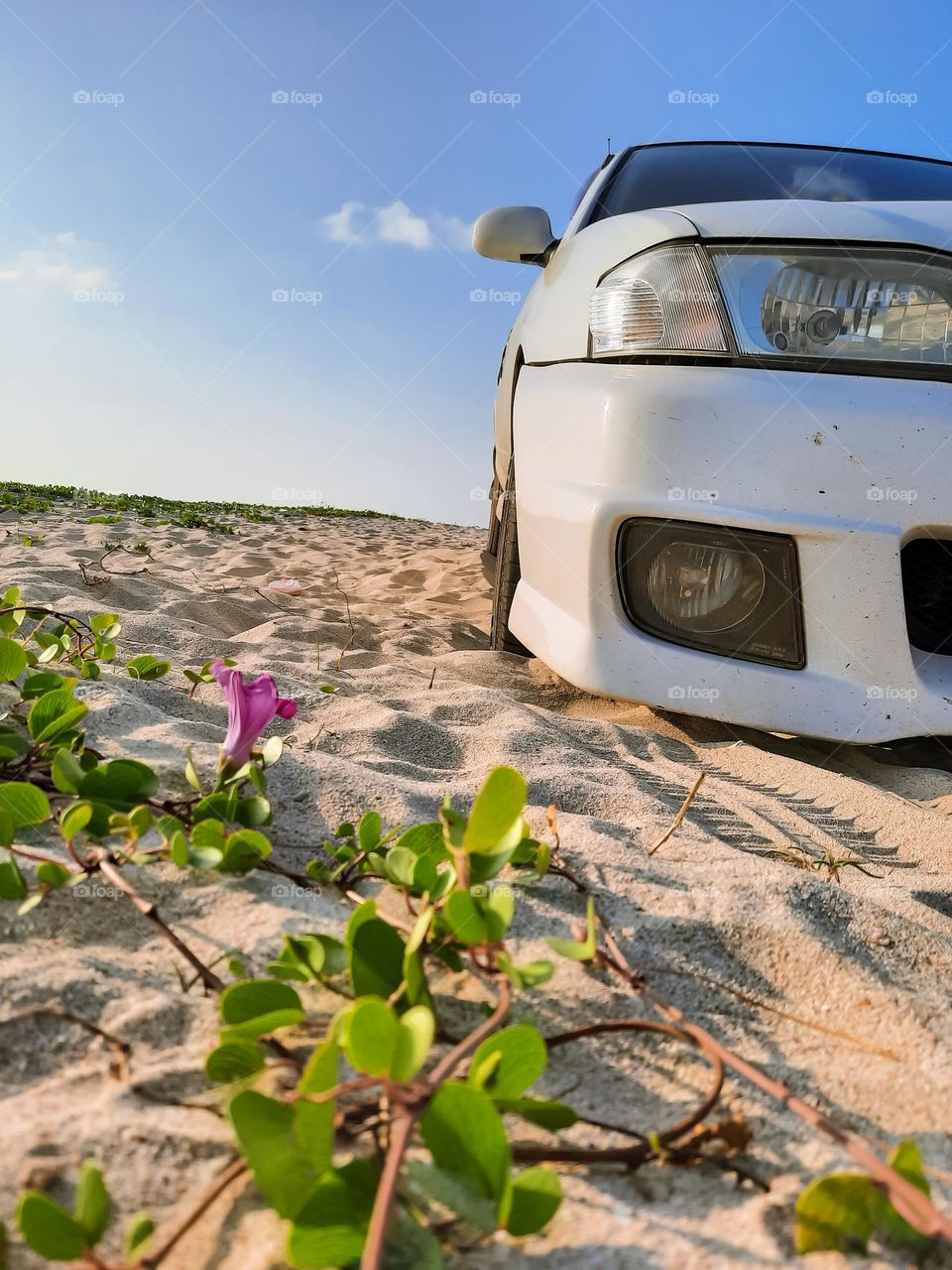 Cars with soul. Beach day with white beauty. Nissan Wingroad in its elegance. Modified car with beauty and elegance at the service of the family.