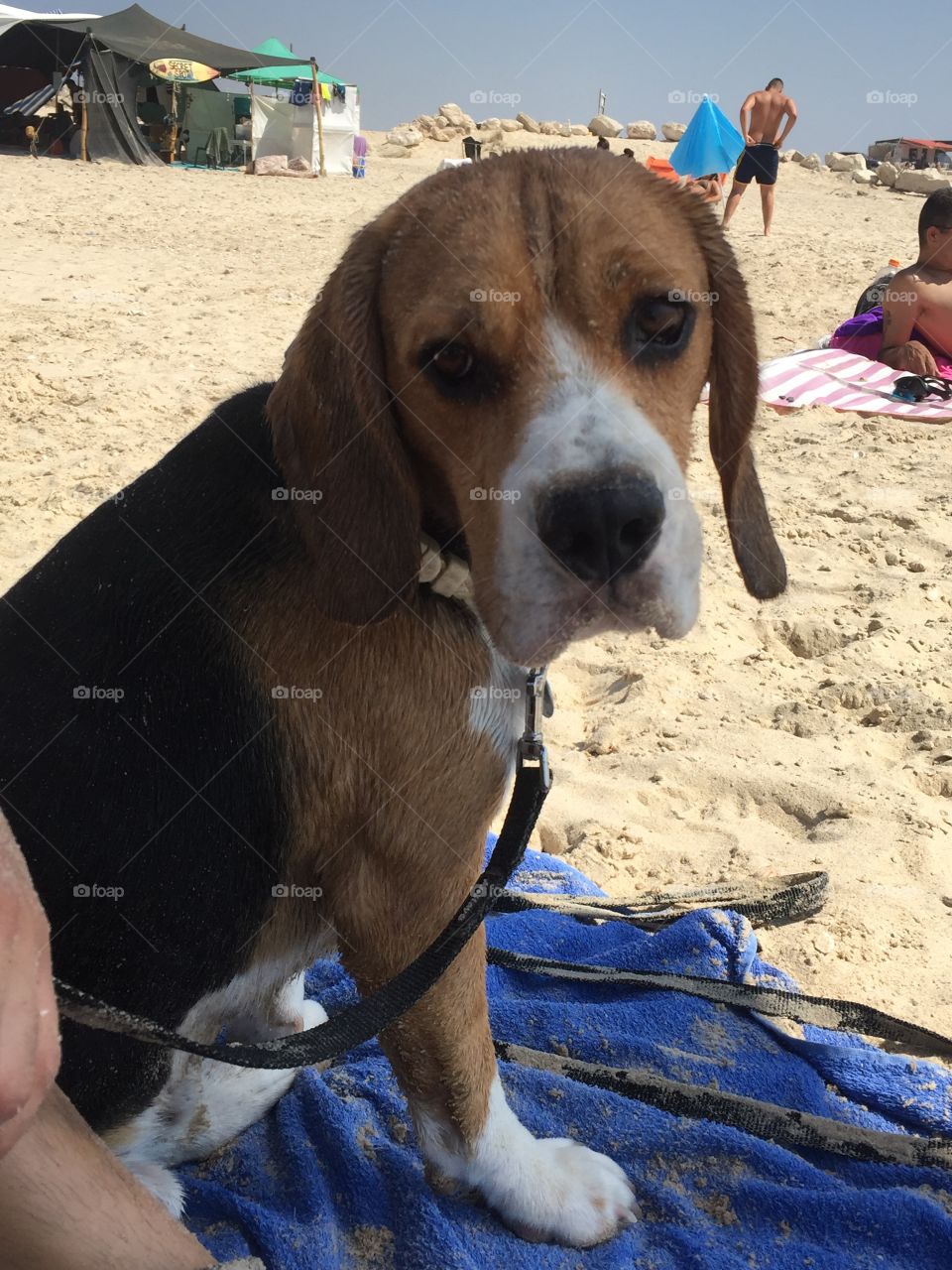 Lucas at the beach