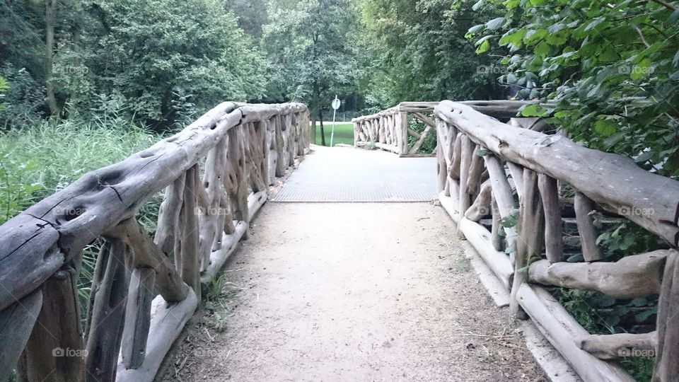 Wooden bridge in Vondelpark, Amsterdam.
