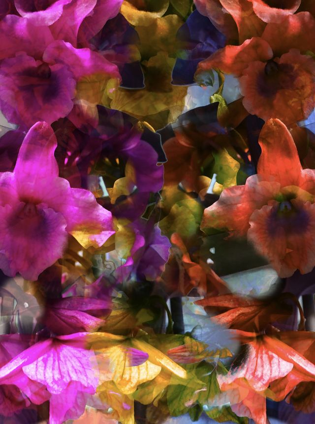 Blooms of love 💕