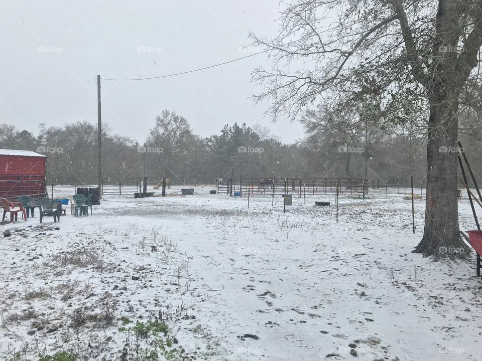 South Georgia Winter 2018...a little snow covered horse farm.