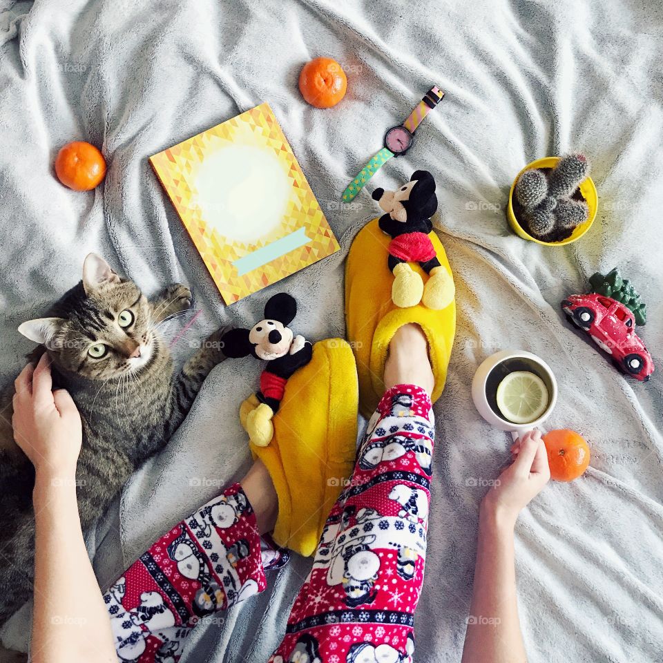 Cozy home with cat and tea