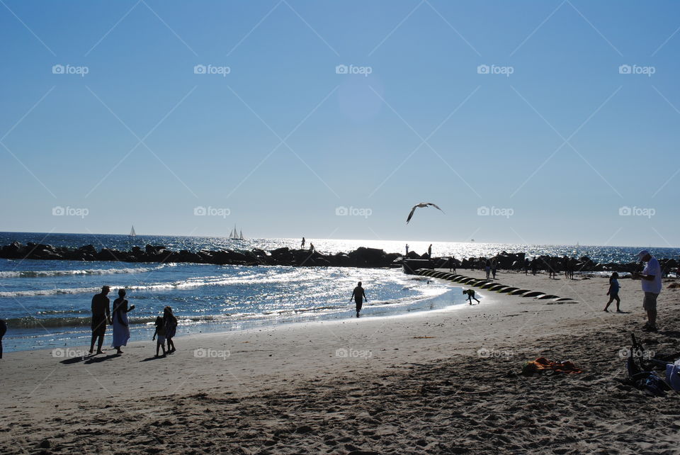 Beautiful coastline at Venice beach