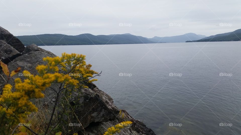 High angle view of nature