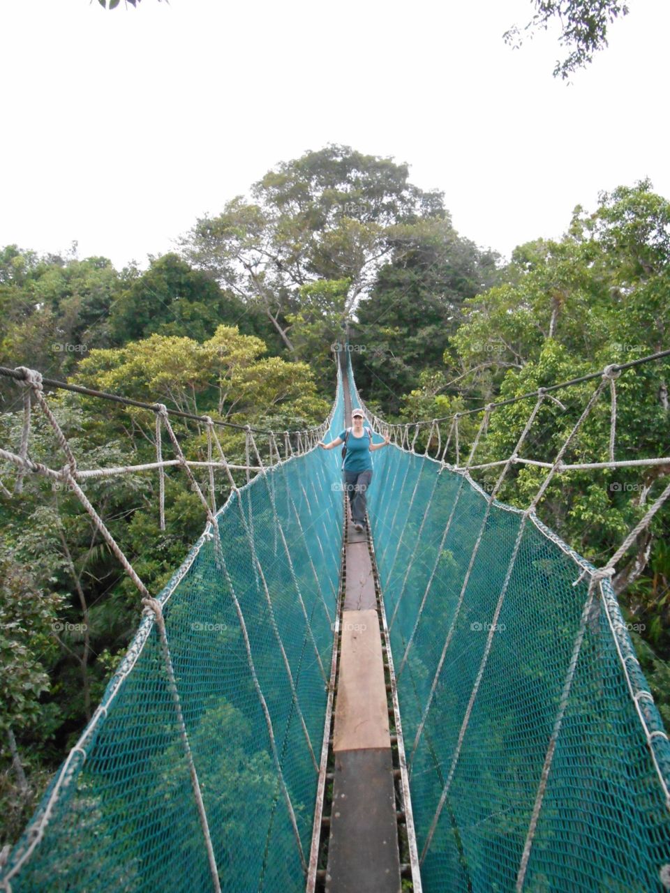 Peru, Amazon rain forest