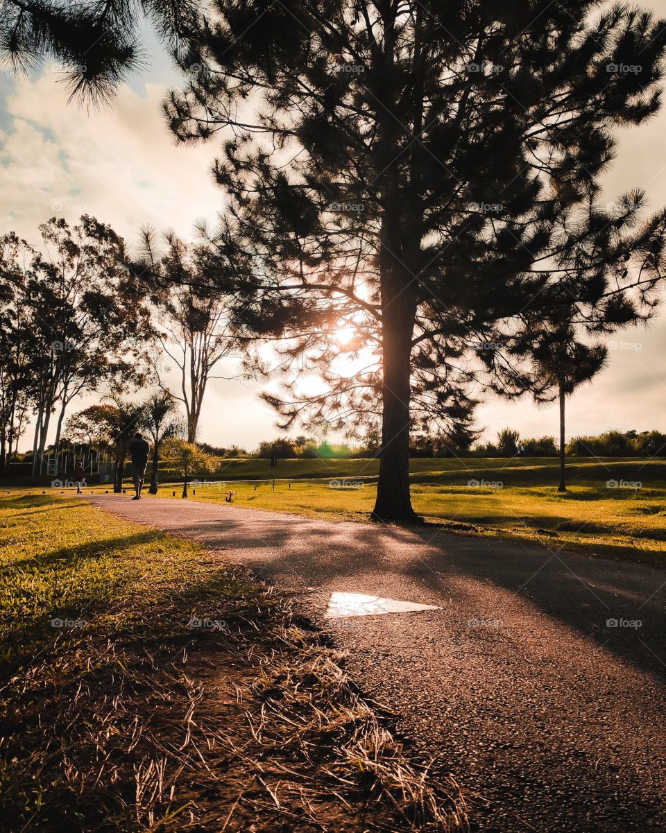 Sunset at the park