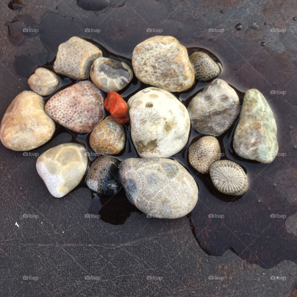 petoskey stones 