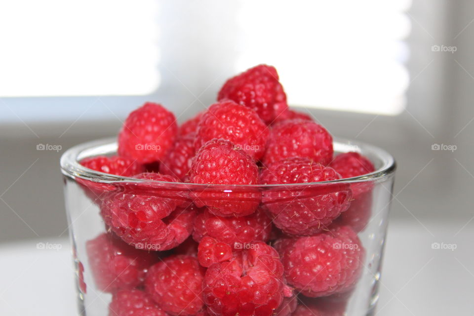 Red Raspberries 