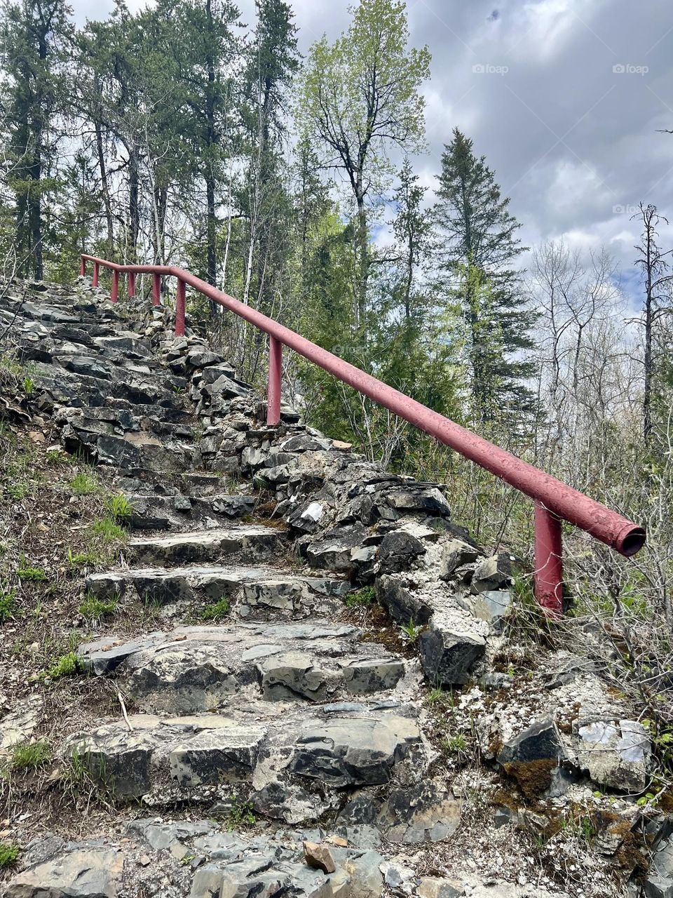 Rocky steps on a forest trail 