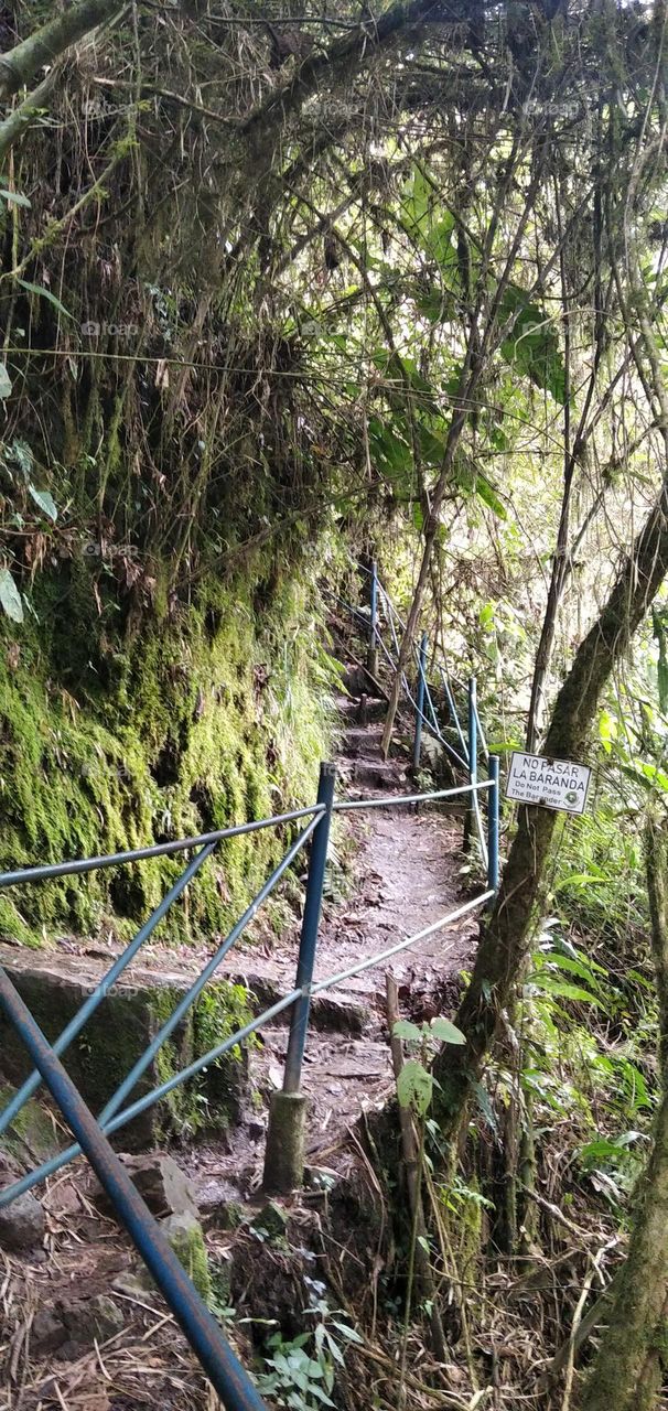 Stairs to a waterfall