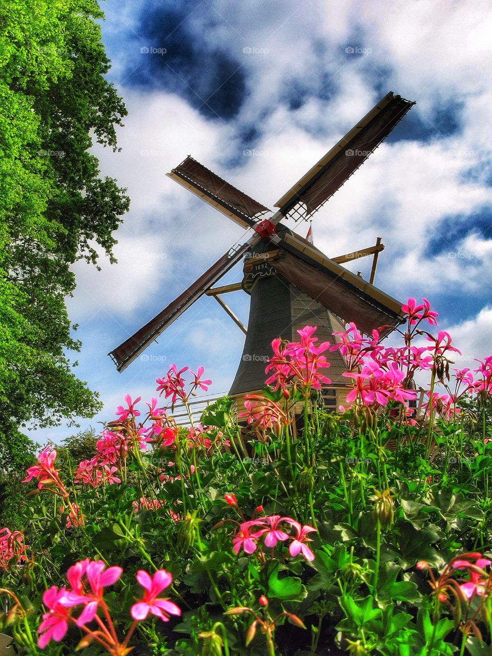 Flowers near windmill