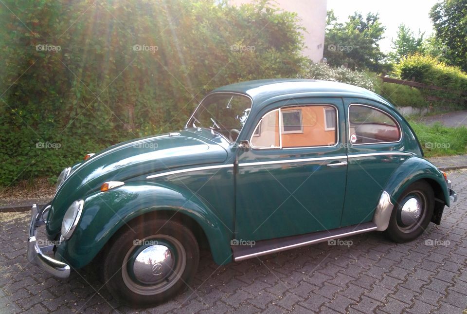 Oldtimer
VW Käfer