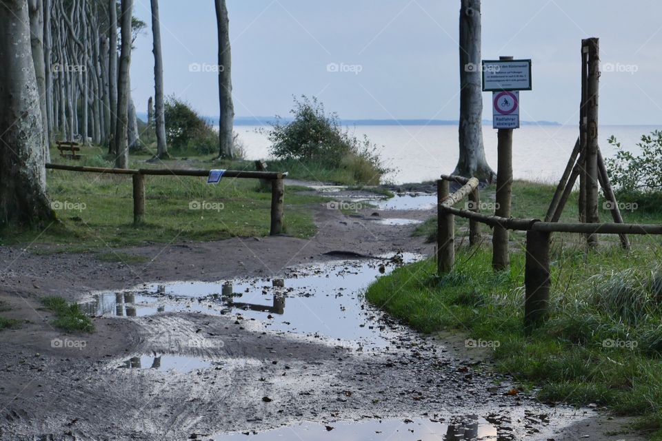 Protecting coastal forest