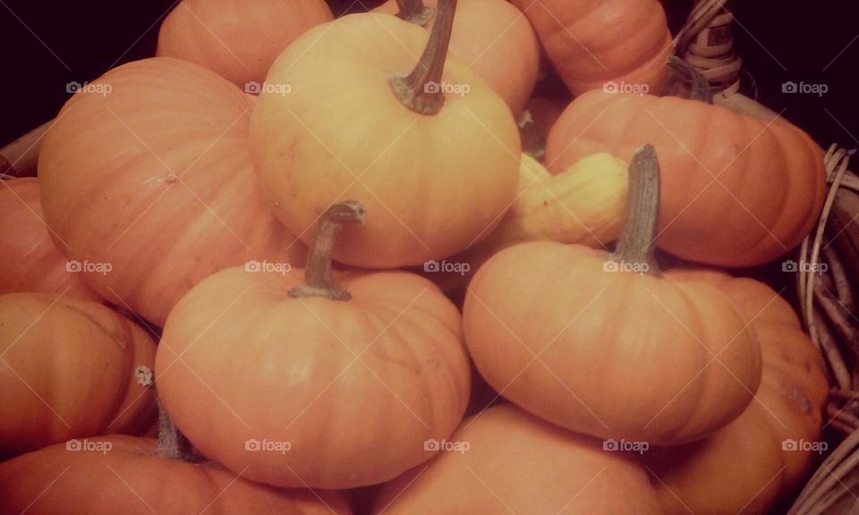 pumpkins 