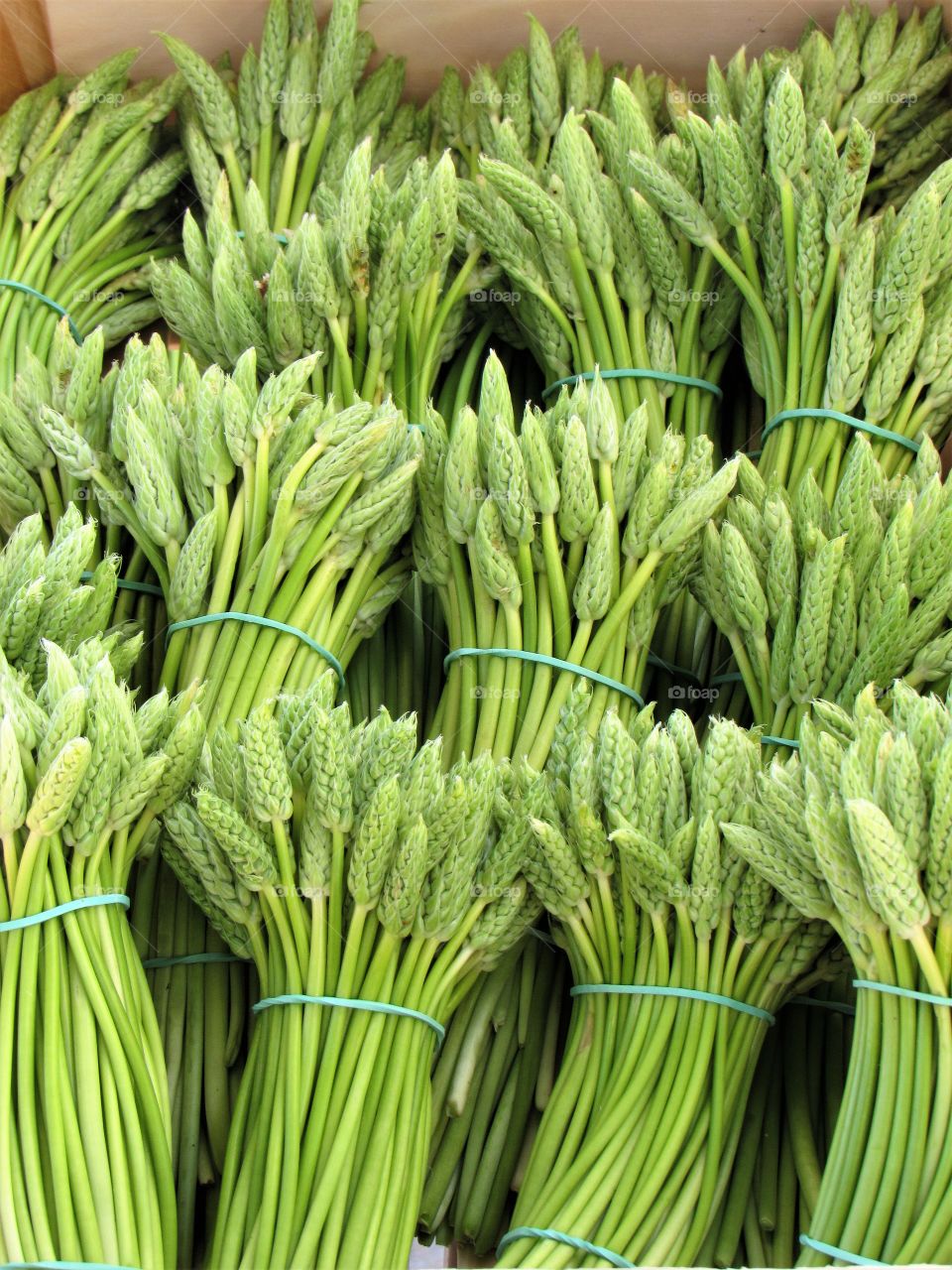 Asparagus