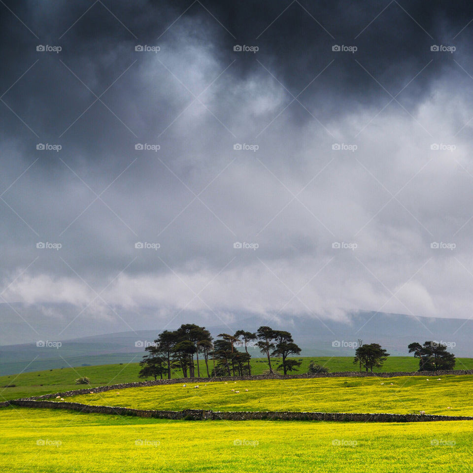 Lakedistrict landscape