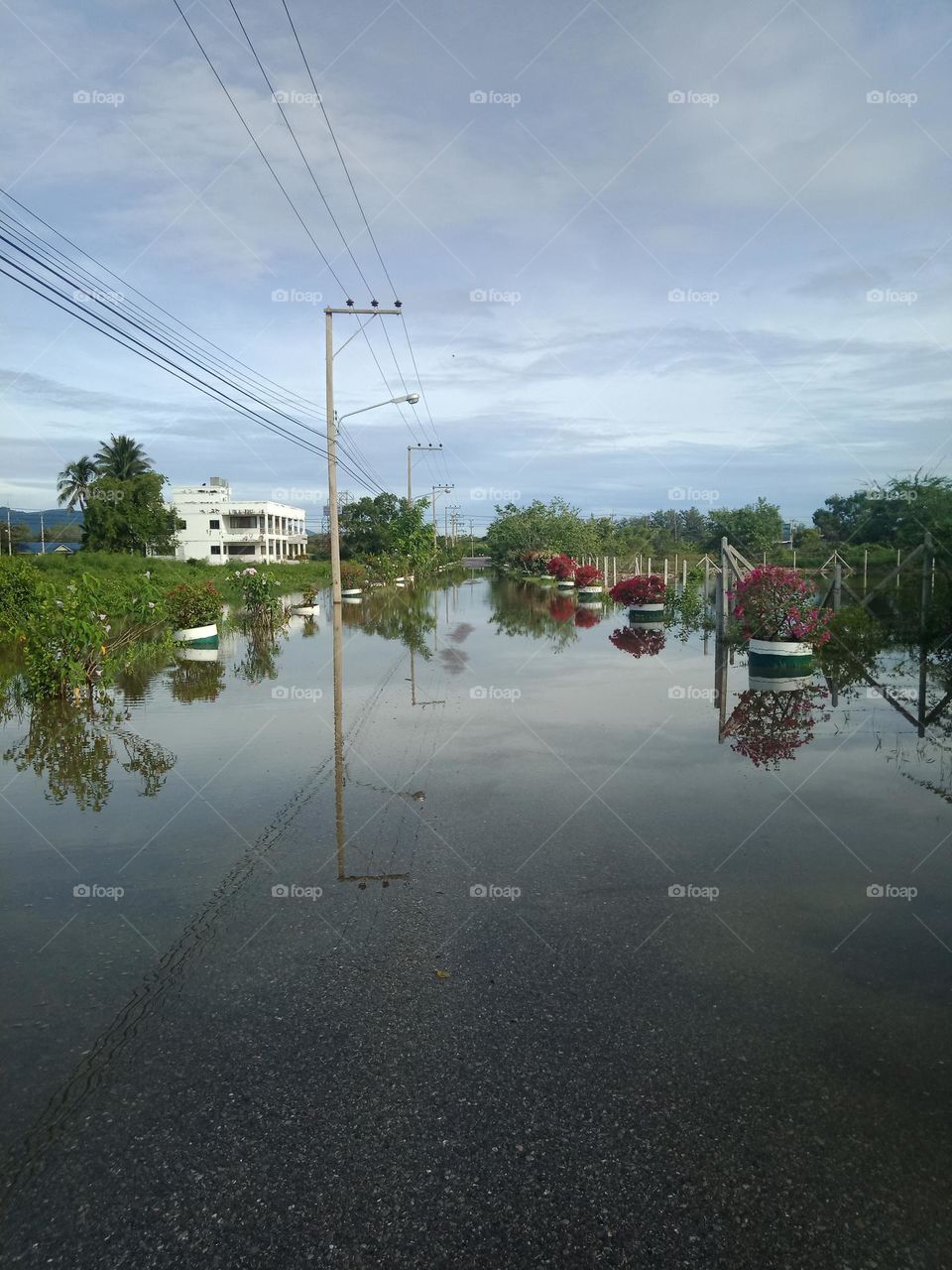 Flood road from havy storm