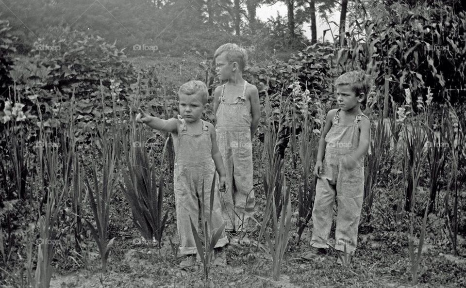 Three Little Boys Ohio 1920s