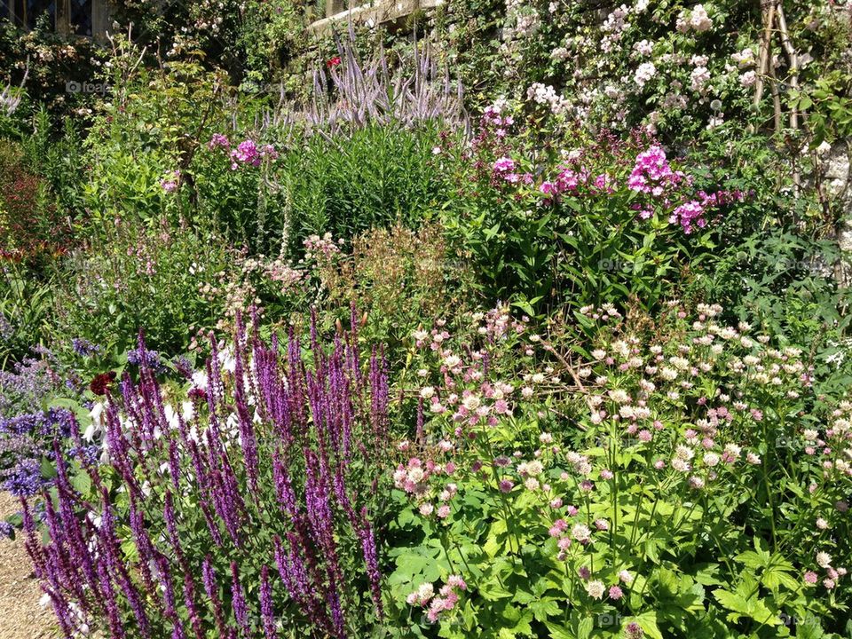 Herbaceous border at Haddon hall. 