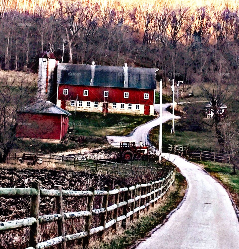 Beautiful farm 