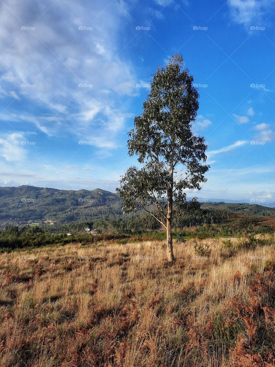 Autumn/Fall in Portugal