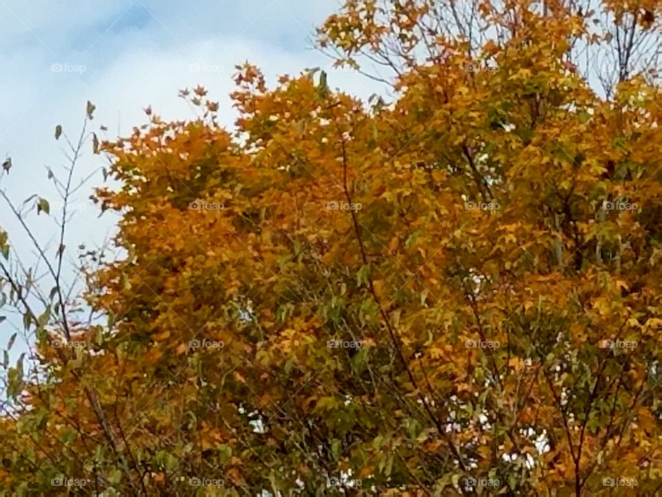 Driving the Back Roads and enjoying everything around us. Watching the color of the fall season