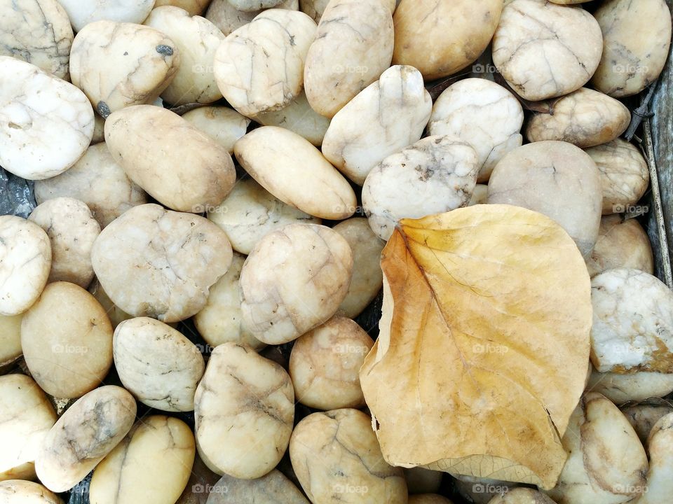 Dry leaves on the pebbles.