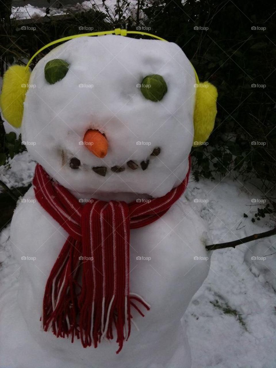 Snow man 2012