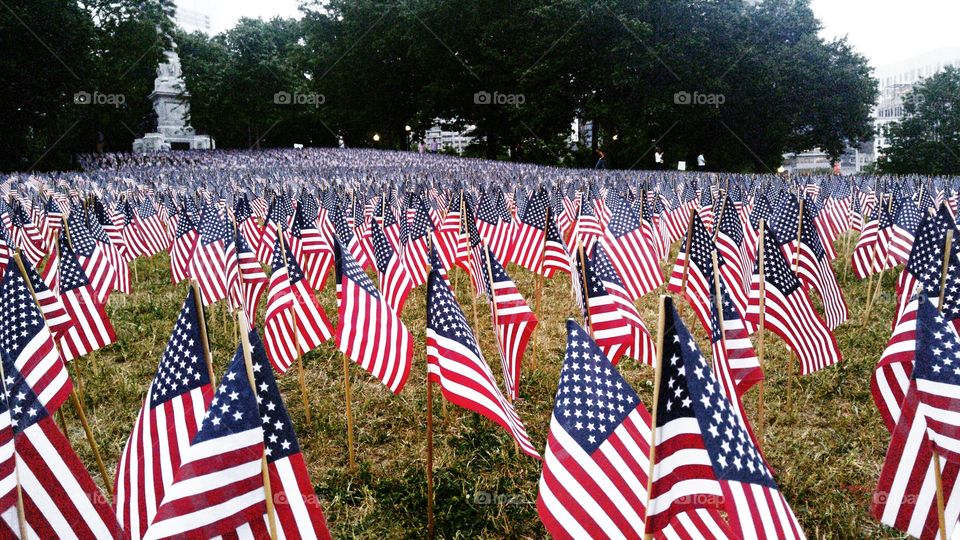 Memorial Day Tribute