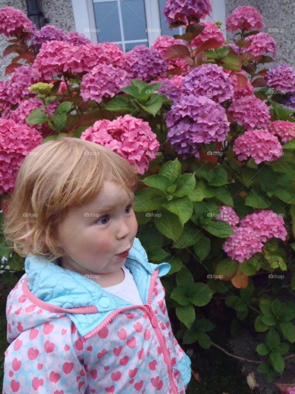 Little girl standing near pink flower