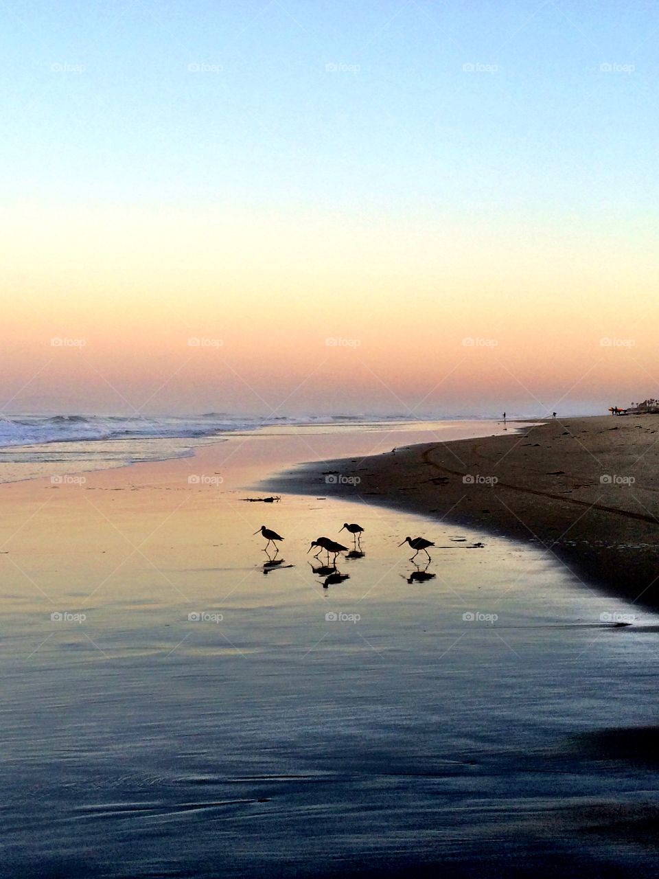 Breakfast time...for some.. Breakfast time...for some.