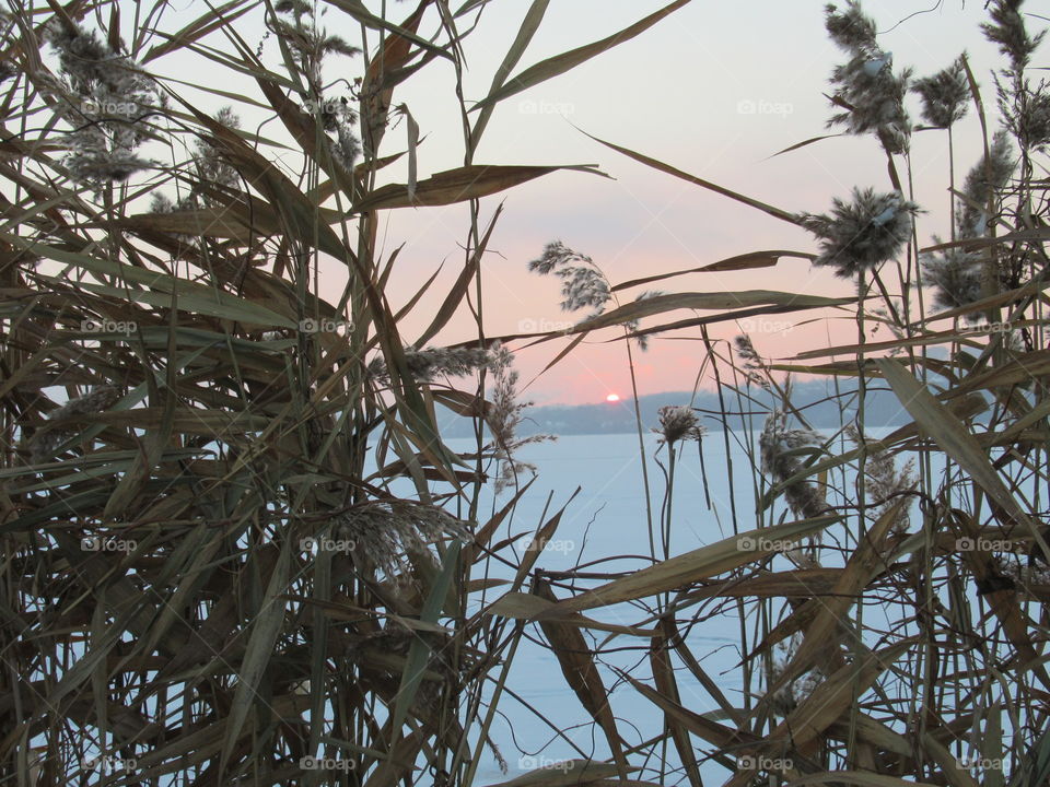 sunset in the cold winter